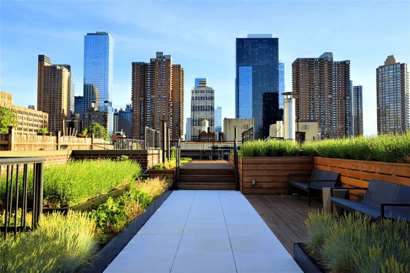 The Hells Kitchen House  (Image-6)