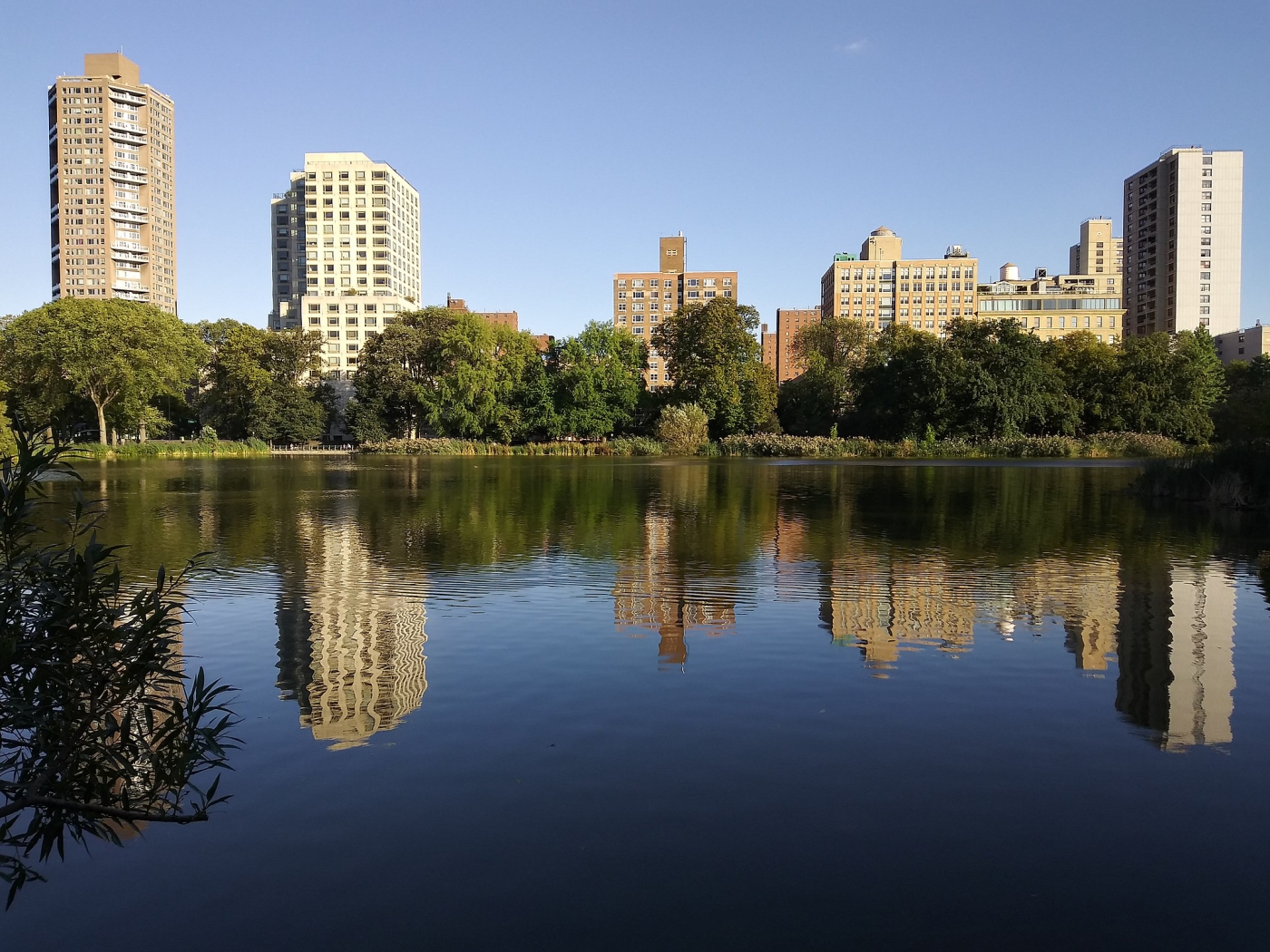 Harlem Neighborhood at The Upper Manhattan House (Image 5)