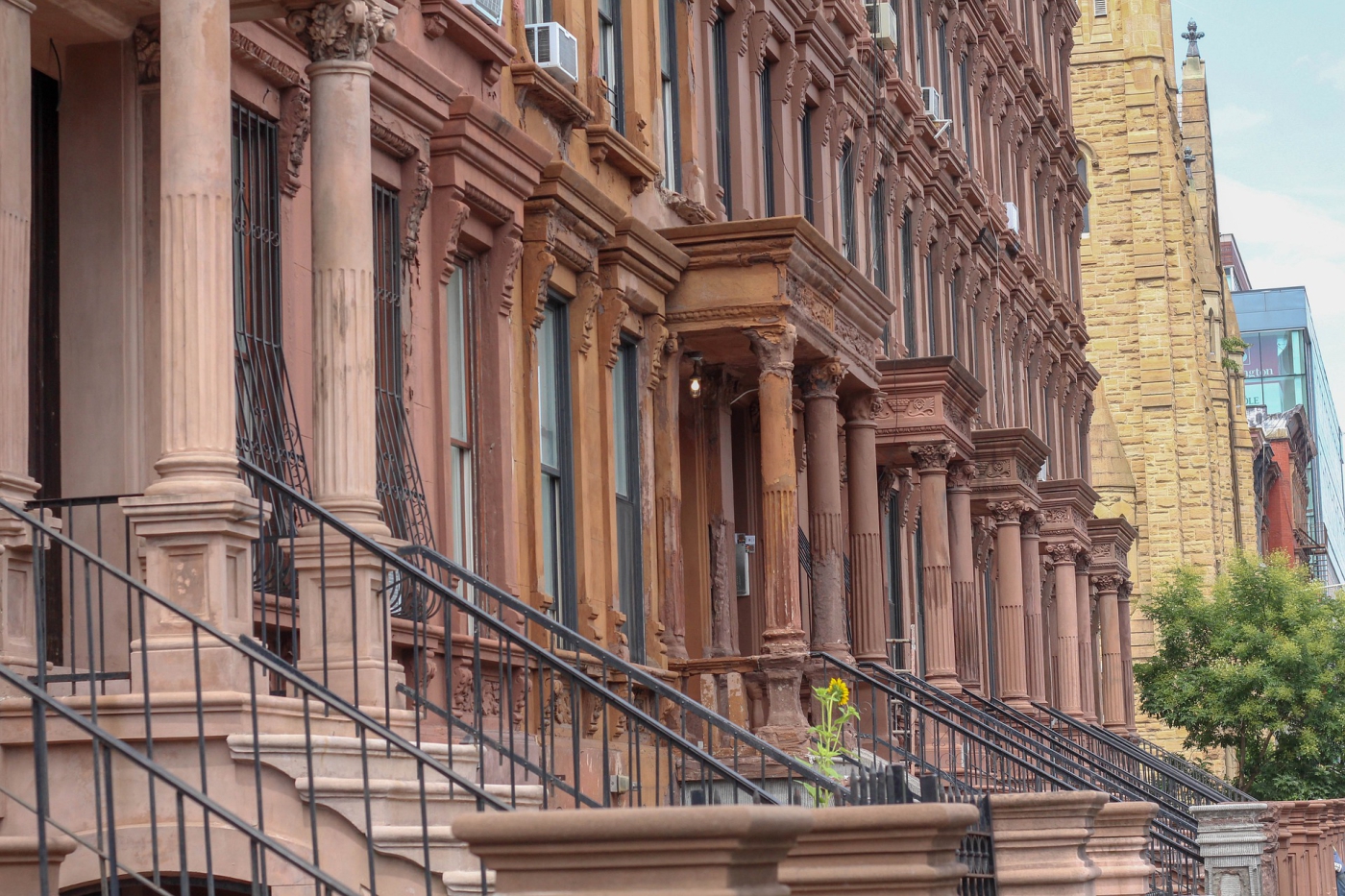 Harlem Neighborhood at The Upper Manhattan House (Image 1)