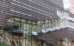 The New School